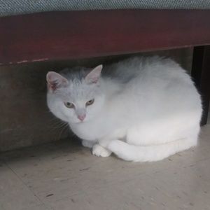 Meet your Posher, Christina